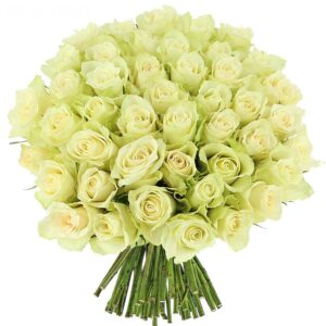 100 White Roses